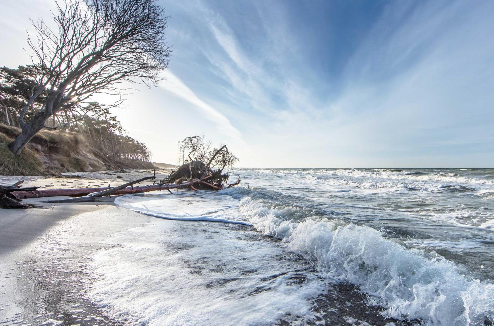 Kranichtanz An Der Seebruecke Zingst Kültér fotó